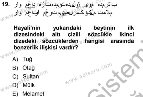 XVI. Yüzyıl Türk Edebiyatı Dersi 2012 - 2013 Yılı (Vize) Ara Sınavı 19. Soru