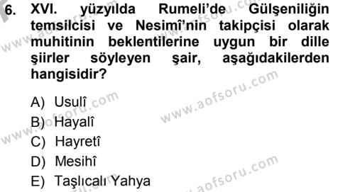 XVI. Yüzyıl Türk Edebiyatı Dersi 2012 - 2013 Yılı (Vize) Ara Sınavı 6. Soru