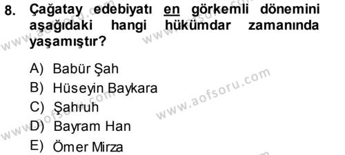 XVI. Yüzyıl Türk Edebiyatı Dersi 2013 - 2014 Yılı (Vize) Ara Sınavı 8. Soru
