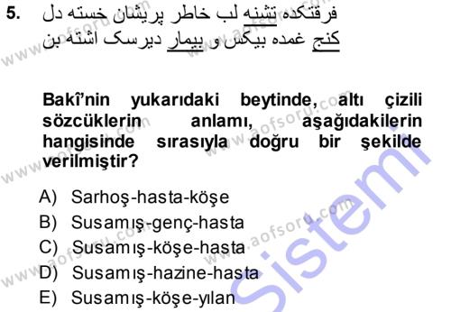 XVI. Yüzyıl Türk Edebiyatı Dersi 2013 - 2014 Yılı (Final) Dönem Sonu Sınavı 5. Soru