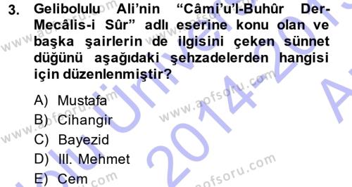 XVI. Yüzyıl Türk Edebiyatı Dersi 2014 - 2015 Yılı (Vize) Ara Sınavı 3. Soru