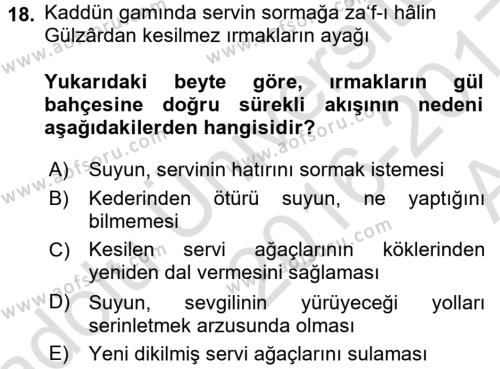 XVI. Yüzyıl Türk Edebiyatı Dersi 2016 - 2017 Yılı (Vize) Ara Sınavı 18. Soru