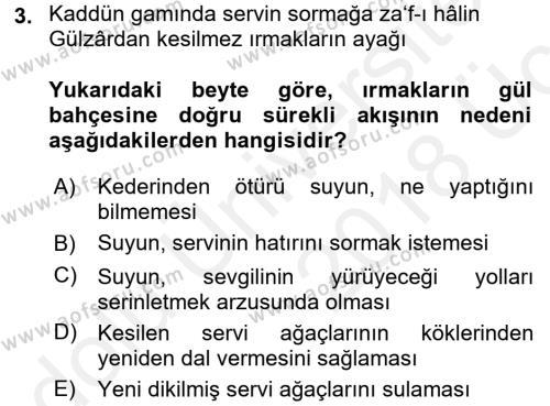 XVI. Yüzyıl Türk Edebiyatı Dersi 2017 - 2018 Yılı 3 Ders Sınavı 3. Soru