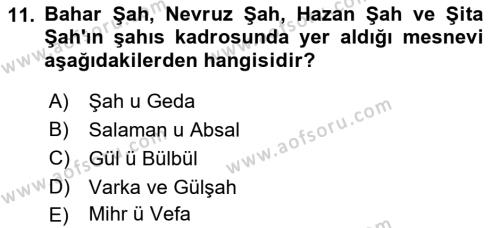 XVI. Yüzyıl Türk Edebiyatı Dersi 2018 - 2019 Yılı 3 Ders Sınavı 11. Soru