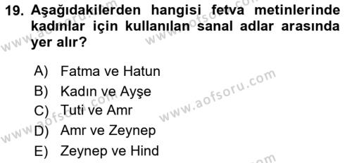 XVI. Yüzyıl Türk Edebiyatı Dersi 2018 - 2019 Yılı 3 Ders Sınavı 19. Soru