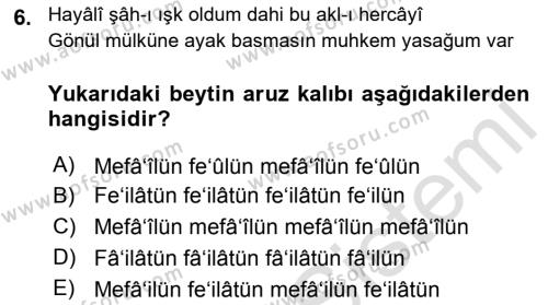 XVI. Yüzyıl Türk Edebiyatı Dersi 2018 - 2019 Yılı 3 Ders Sınavı 6. Soru