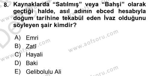 XVI. Yüzyıl Türk Edebiyatı Dersi 2018 - 2019 Yılı 3 Ders Sınavı 8. Soru