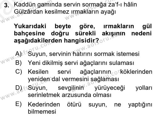 XVI. Yüzyıl Türk Edebiyatı Dersi 2018 - 2019 Yılı (Final) Dönem Sonu Sınavı 3. Soru