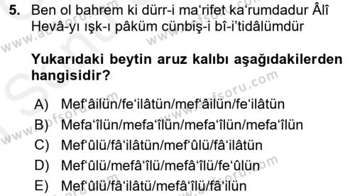 XVI. Yüzyıl Türk Edebiyatı Dersi 2018 - 2019 Yılı (Final) Dönem Sonu Sınavı 5. Soru