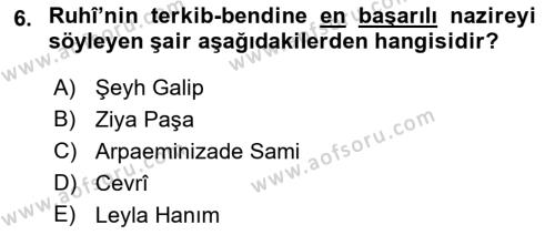 XVI. Yüzyıl Türk Edebiyatı Dersi 2018 - 2019 Yılı (Final) Dönem Sonu Sınavı 6. Soru