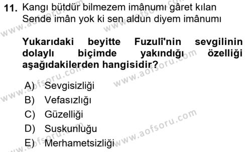 XVI. Yüzyıl Türk Edebiyatı Dersi 2018 - 2019 Yılı Yaz Okulu Sınavı 11. Soru