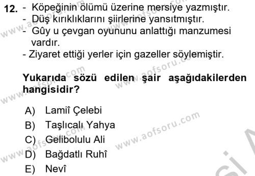 XVI. Yüzyıl Türk Edebiyatı Dersi 2018 - 2019 Yılı Yaz Okulu Sınavı 12. Soru