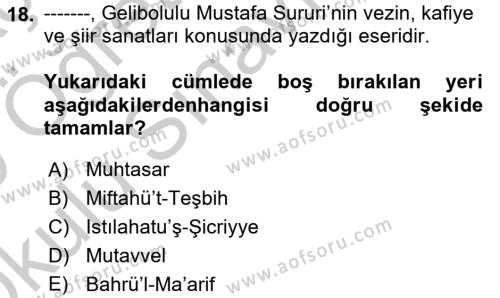 XVI. Yüzyıl Türk Edebiyatı Dersi 2018 - 2019 Yılı Yaz Okulu Sınavı 18. Soru