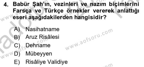 XVI. Yüzyıl Türk Edebiyatı Dersi 2018 - 2019 Yılı Yaz Okulu Sınavı 4. Soru