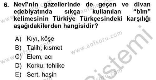 XVI. Yüzyıl Türk Edebiyatı Dersi 2018 - 2019 Yılı Yaz Okulu Sınavı 6. Soru