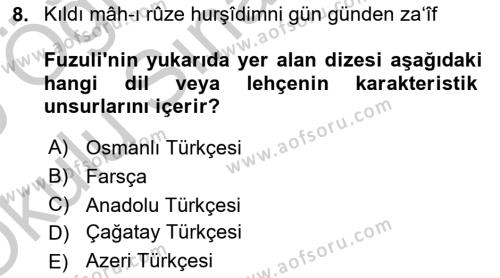 XVI. Yüzyıl Türk Edebiyatı Dersi 2018 - 2019 Yılı Yaz Okulu Sınavı 8. Soru