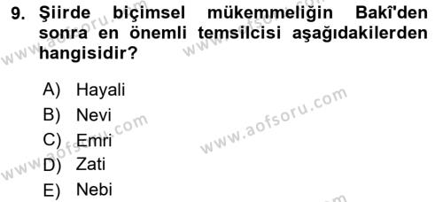 XVI. Yüzyıl Türk Edebiyatı Dersi 2018 - 2019 Yılı Yaz Okulu Sınavı 9. Soru