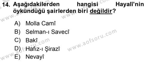 XVI. Yüzyıl Türk Edebiyatı Dersi 2019 - 2020 Yılı (Vize) Ara Sınavı 14. Soru