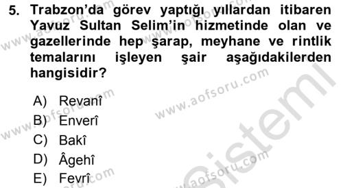 XVI. Yüzyıl Türk Edebiyatı Dersi 2019 - 2020 Yılı (Vize) Ara Sınavı 5. Soru