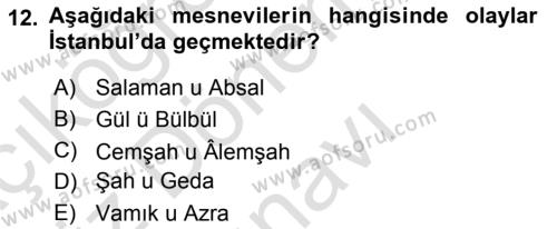 XVI. Yüzyıl Türk Edebiyatı Dersi 2019 - 2020 Yılı (Final) Dönem Sonu Sınavı 12. Soru