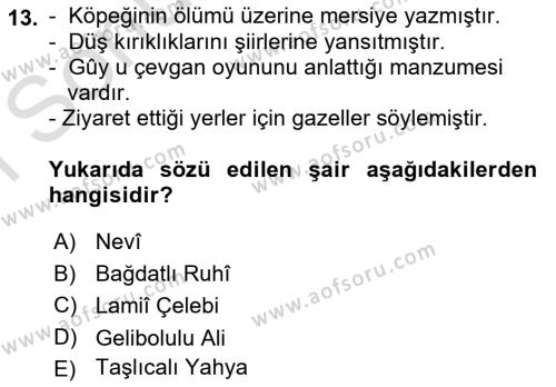 XVI. Yüzyıl Türk Edebiyatı Dersi 2019 - 2020 Yılı (Final) Dönem Sonu Sınavı 13. Soru