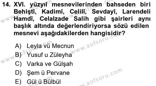 XVI. Yüzyıl Türk Edebiyatı Dersi 2019 - 2020 Yılı (Final) Dönem Sonu Sınavı 14. Soru