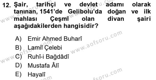 XVI. Yüzyıl Türk Edebiyatı Dersi 2020 - 2021 Yılı Yaz Okulu Sınavı 12. Soru