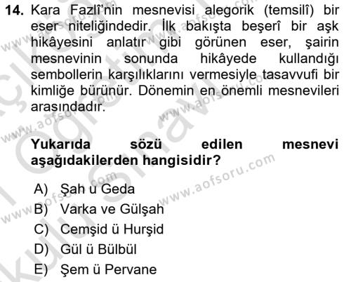 XVI. Yüzyıl Türk Edebiyatı Dersi 2020 - 2021 Yılı Yaz Okulu Sınavı 14. Soru