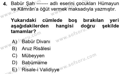 XVI. Yüzyıl Türk Edebiyatı Dersi 2020 - 2021 Yılı Yaz Okulu Sınavı 4. Soru