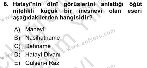 XVI. Yüzyıl Türk Edebiyatı Dersi 2020 - 2021 Yılı Yaz Okulu Sınavı 6. Soru