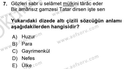 XVI. Yüzyıl Türk Edebiyatı Dersi 2020 - 2021 Yılı Yaz Okulu Sınavı 7. Soru