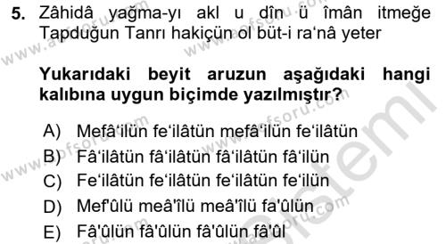 XVI. Yüzyıl Türk Edebiyatı Dersi 2021 - 2022 Yılı (Final) Dönem Sonu Sınavı 5. Soru