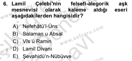 XVI. Yüzyıl Türk Edebiyatı Dersi 2021 - 2022 Yılı (Final) Dönem Sonu Sınavı 6. Soru