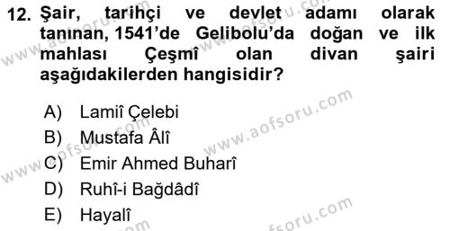 XVI. Yüzyıl Türk Edebiyatı Dersi 2021 - 2022 Yılı Yaz Okulu Sınavı 12. Soru