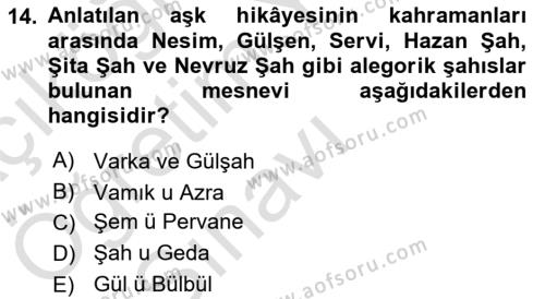 XVI. Yüzyıl Türk Edebiyatı Dersi 2021 - 2022 Yılı Yaz Okulu Sınavı 14. Soru