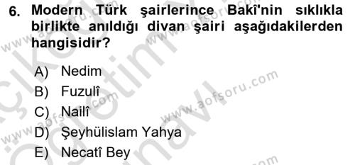 XVI. Yüzyıl Türk Edebiyatı Dersi 2021 - 2022 Yılı Yaz Okulu Sınavı 6. Soru