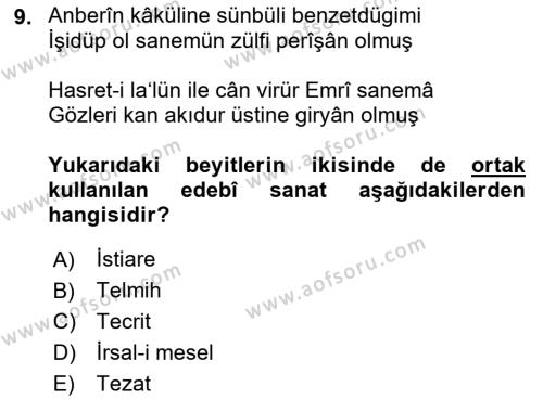 XVI. Yüzyıl Türk Edebiyatı Dersi 2021 - 2022 Yılı Yaz Okulu Sınavı 9. Soru