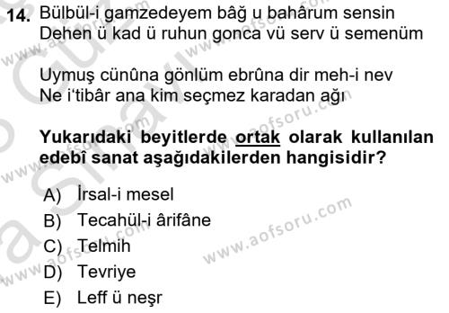 XVI. Yüzyıl Türk Edebiyatı Dersi 2022 - 2023 Yılı (Vize) Ara Sınavı 14. Soru