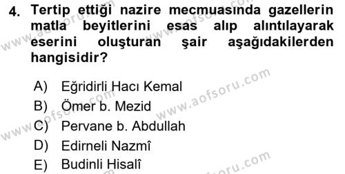 XVI. Yüzyıl Türk Edebiyatı Dersi 2022 - 2023 Yılı (Vize) Ara Sınavı 4. Soru