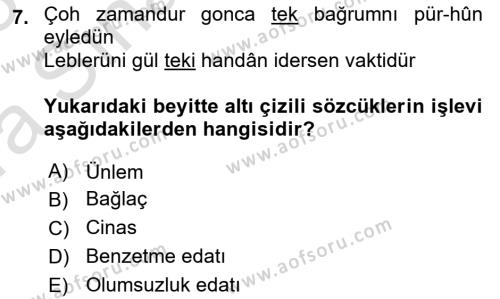 XVI. Yüzyıl Türk Edebiyatı Dersi 2022 - 2023 Yılı (Vize) Ara Sınavı 7. Soru