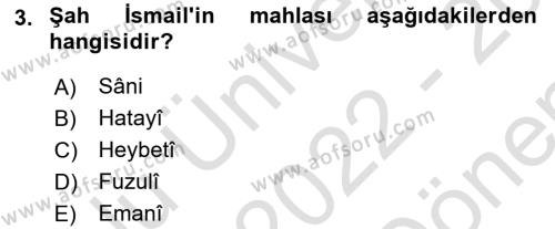 XVI. Yüzyıl Türk Edebiyatı Dersi 2022 - 2023 Yılı (Final) Dönem Sonu Sınavı 3. Soru