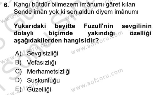 XVI. Yüzyıl Türk Edebiyatı Dersi 2022 - 2023 Yılı (Final) Dönem Sonu Sınavı 6. Soru