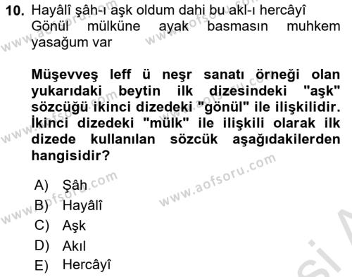 XVI. Yüzyıl Türk Edebiyatı Dersi 2022 - 2023 Yılı Yaz Okulu Sınavı 10. Soru