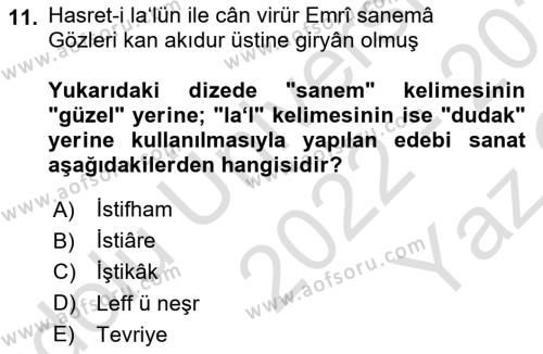 XVI. Yüzyıl Türk Edebiyatı Dersi 2022 - 2023 Yılı Yaz Okulu Sınavı 11. Soru