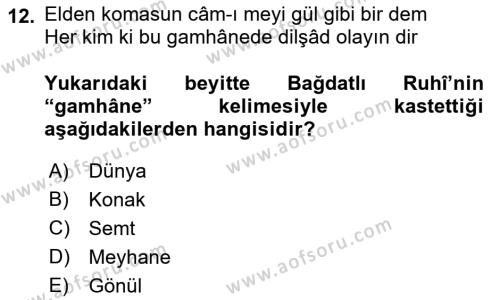 XVI. Yüzyıl Türk Edebiyatı Dersi 2022 - 2023 Yılı Yaz Okulu Sınavı 12. Soru