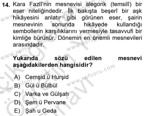 XVI. Yüzyıl Türk Edebiyatı Dersi 2022 - 2023 Yılı Yaz Okulu Sınavı 14. Soru