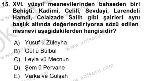 XVI. Yüzyıl Türk Edebiyatı Dersi 2022 - 2023 Yılı Yaz Okulu Sınavı 15. Soru