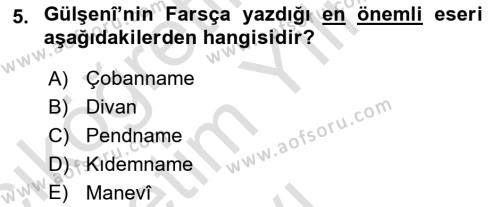 XVI. Yüzyıl Türk Edebiyatı Dersi 2022 - 2023 Yılı Yaz Okulu Sınavı 5. Soru