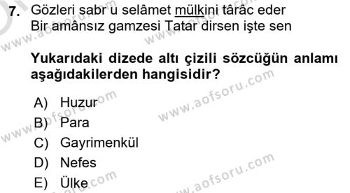 XVI. Yüzyıl Türk Edebiyatı Dersi 2022 - 2023 Yılı Yaz Okulu Sınavı 7. Soru