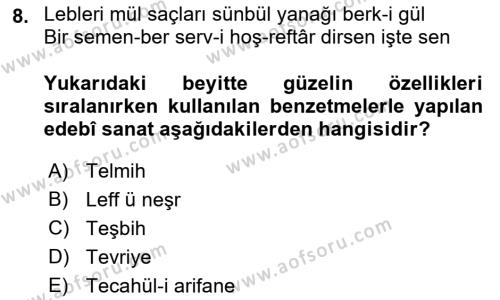 XVI. Yüzyıl Türk Edebiyatı Dersi 2022 - 2023 Yılı Yaz Okulu Sınavı 8. Soru